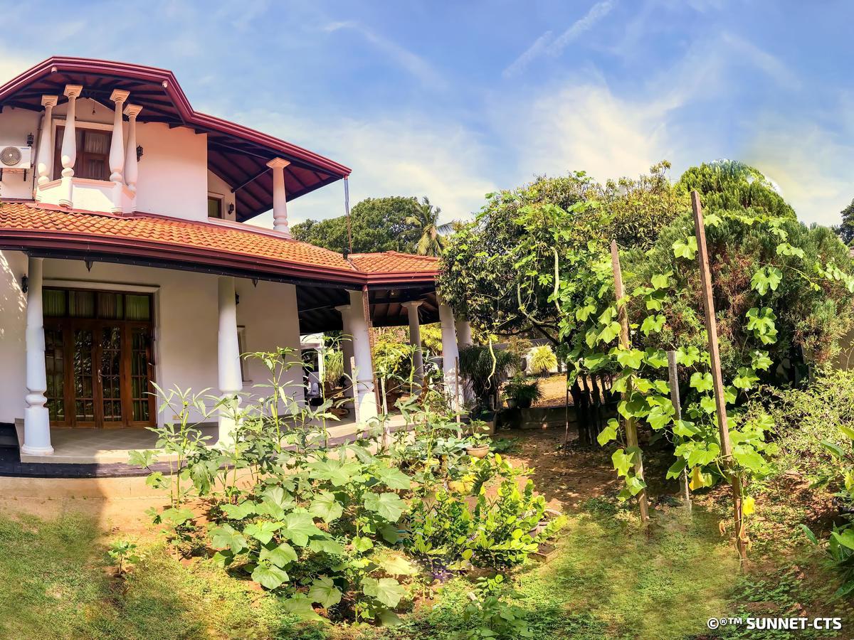 Ceylon Pearlwing Resort Negombo Exteriér fotografie